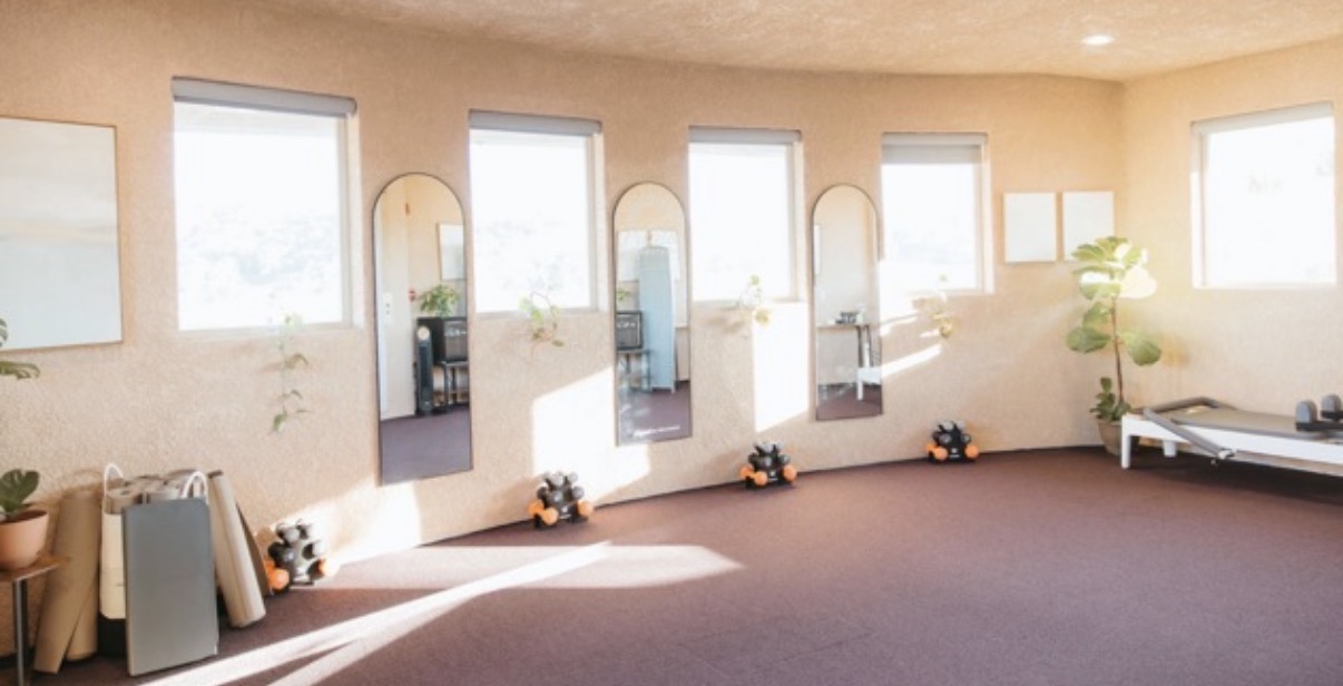 Empty room with five windows, sunlight, potted plants, and a bench, with a beige wall and carpeted floor.