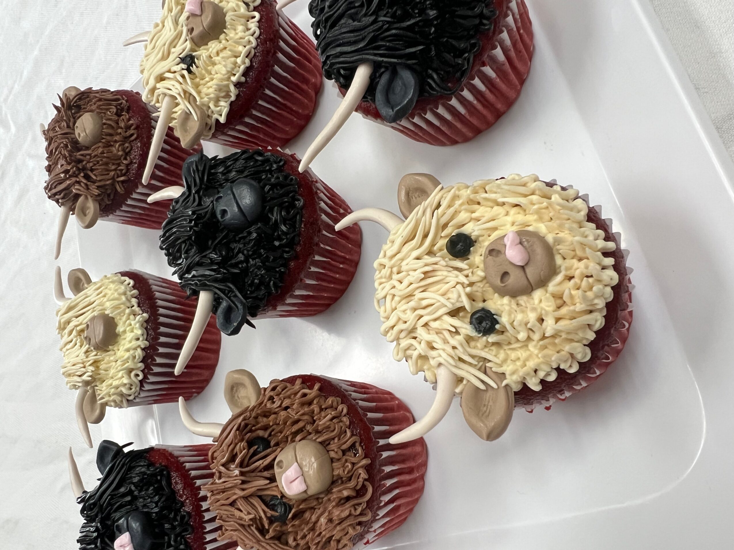 Cupcakes decorated as mice with different colored fur, ears, and small eyes, arranged on a white tray.