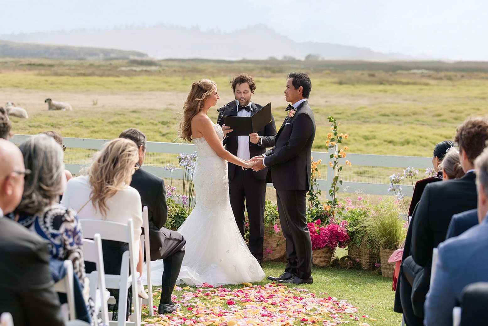 Bride and groom holding hands during outdoor wedding ceremony with seated guests and scenic landscape background.