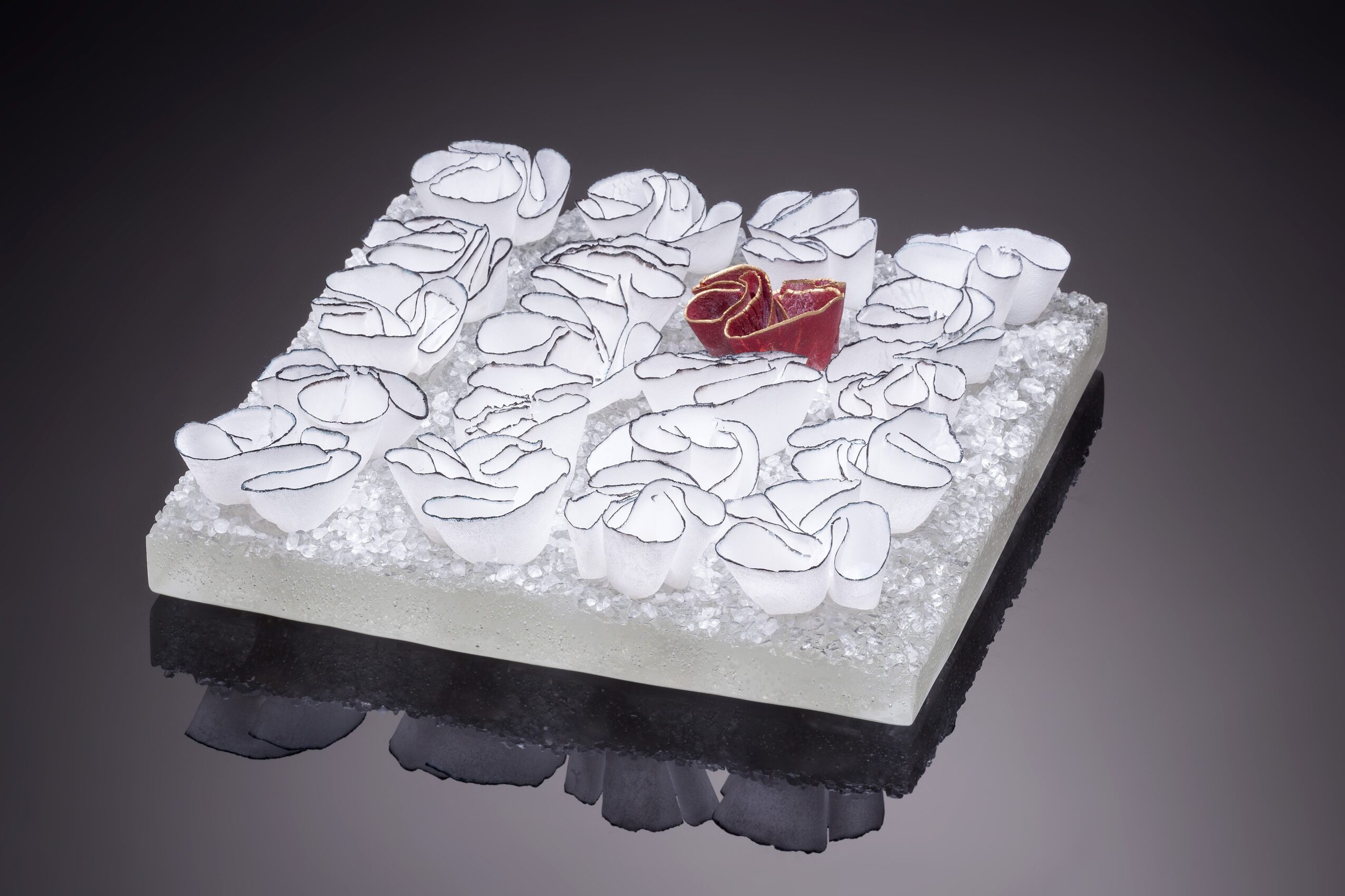 Square cake with white icing and decorative white icing roses, topped with a red rose, on a black reflective surface.
