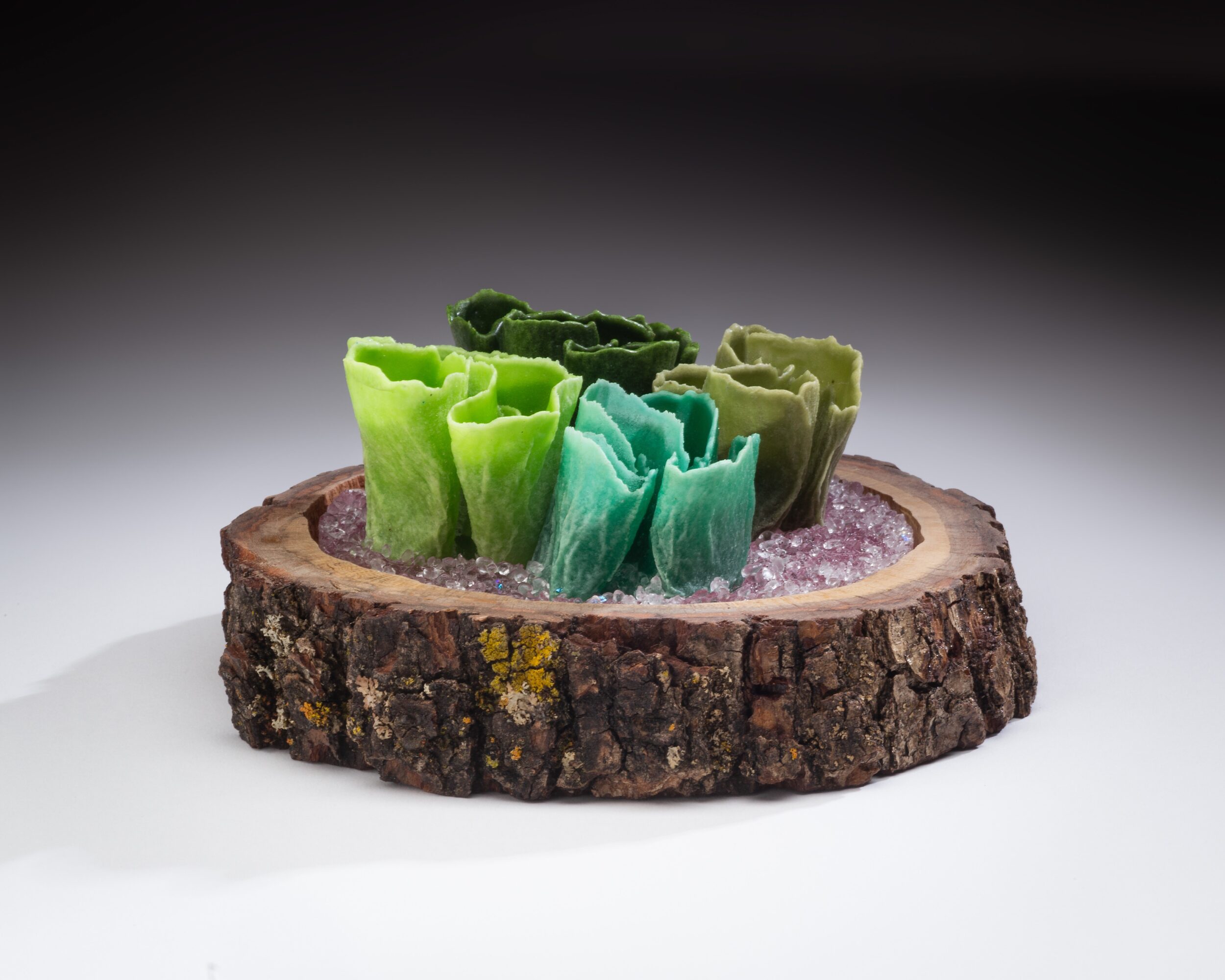 Colorful gummy candies on a tree bark slice, with a dark gradient background.