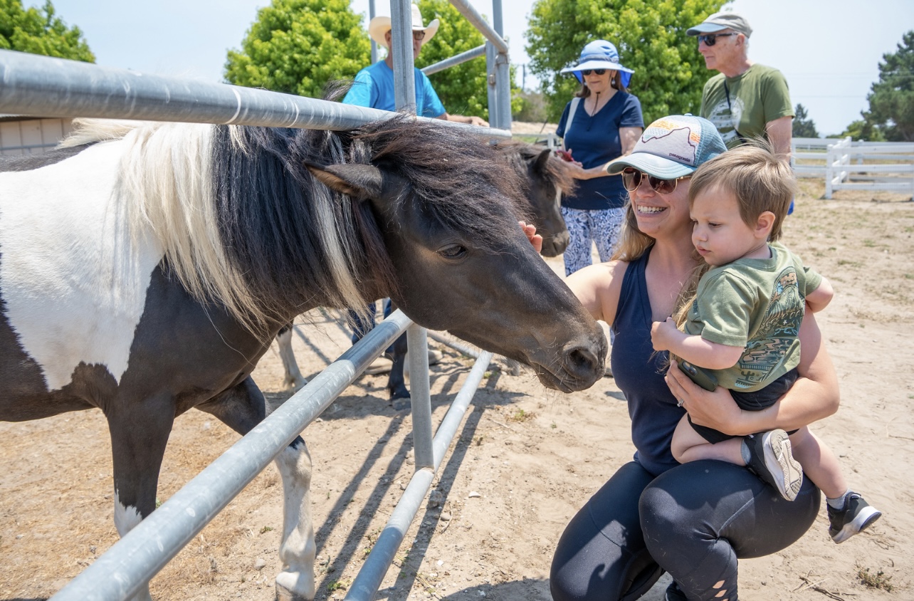 Person holding a child interacts with a horse at a farm, with other people in the background.