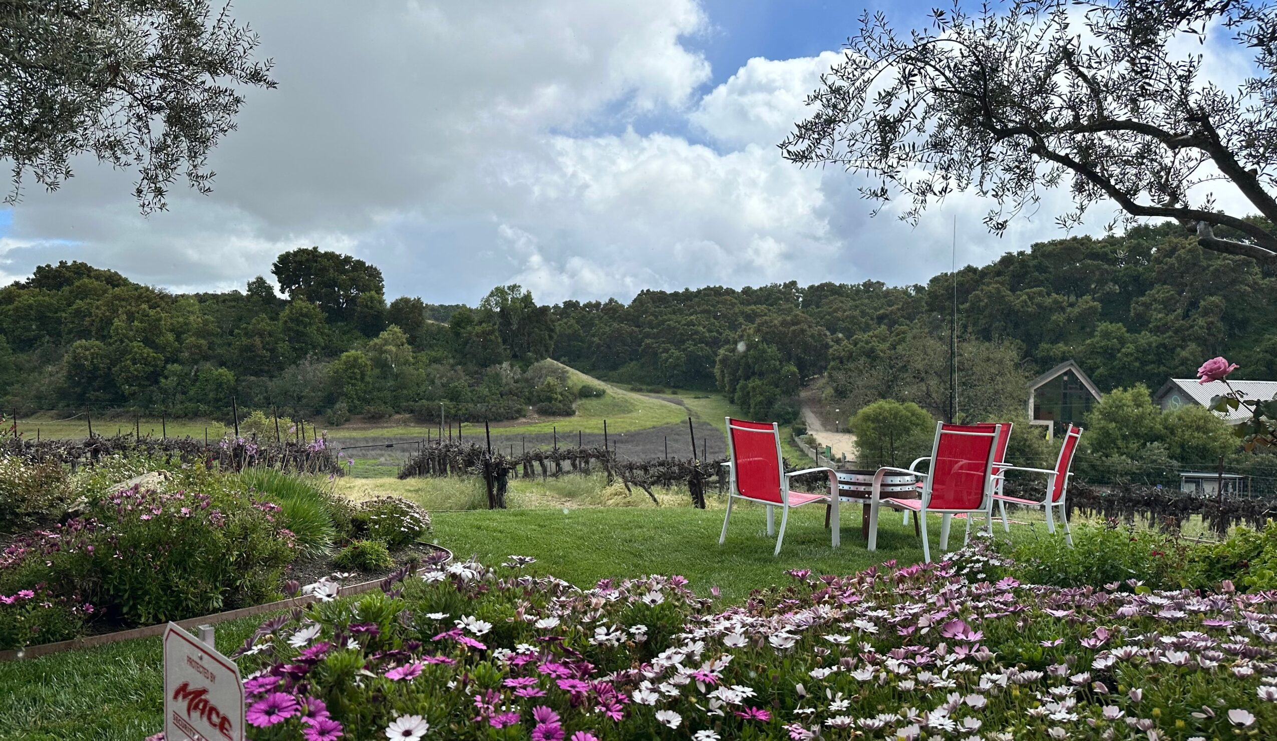 Garden with red chairs, flower beds, trees, and a cloudy sky, overlooking a hilly landscape with greenery and distant buildings.