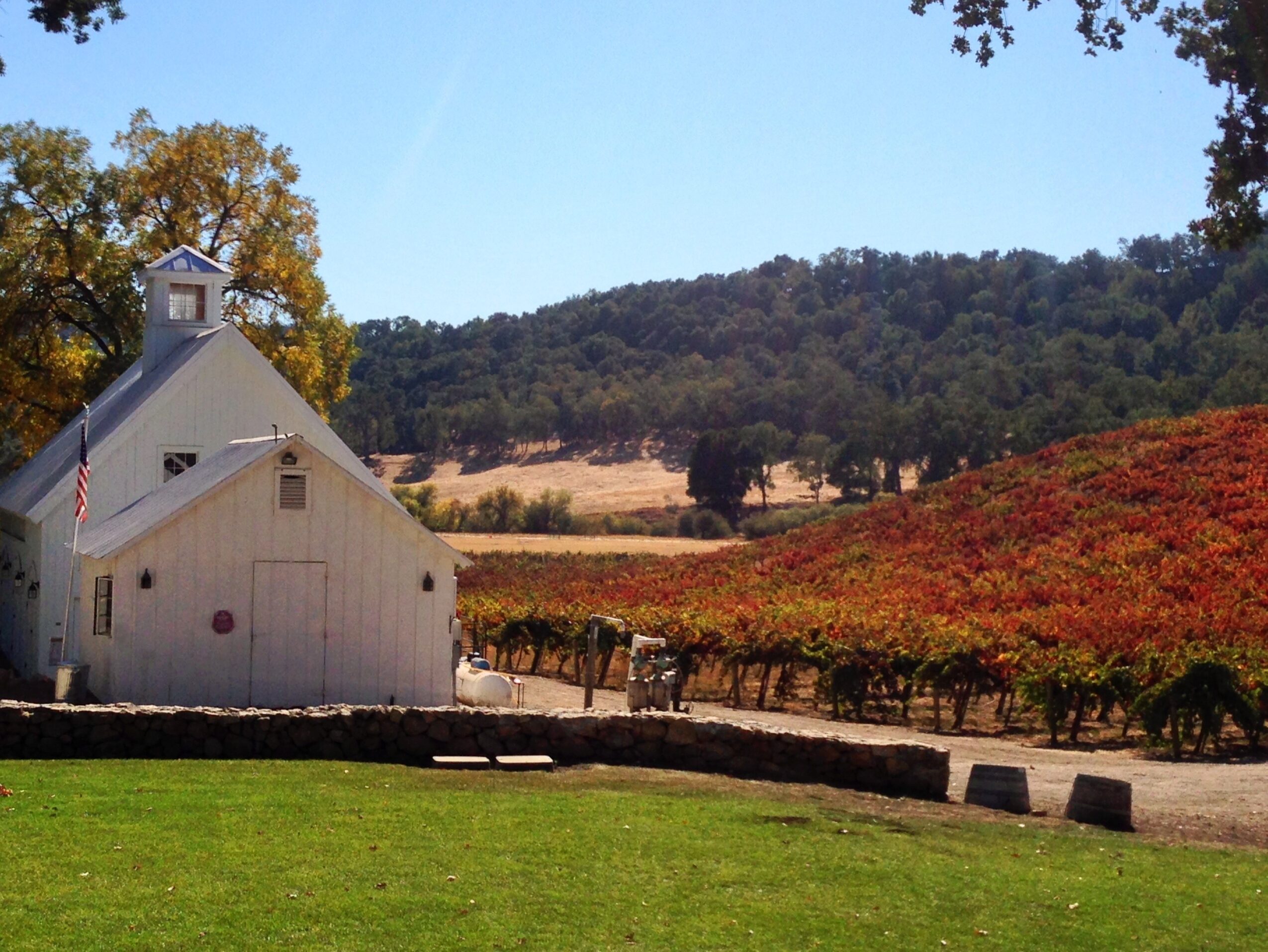 White church with steeple in a rural landscape, trees, hills, and vineyard in the background, sunny day.