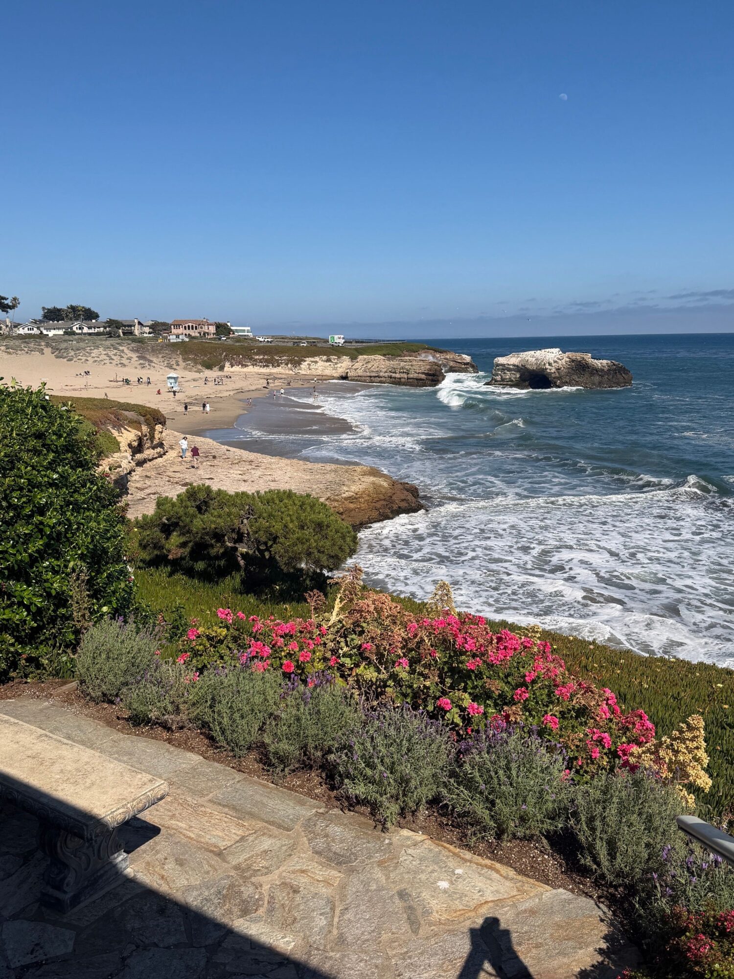 Coastal scene with rocks, ocean waves, and pink flowers on a stone ledge, viewed from an angle.