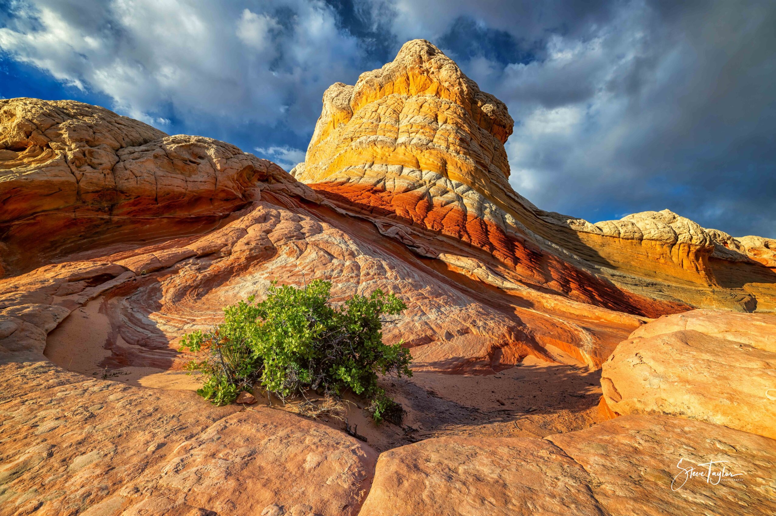 Rock formations with a small green bush in foreground, dramatic sky with clouds, colorful desert landscape.