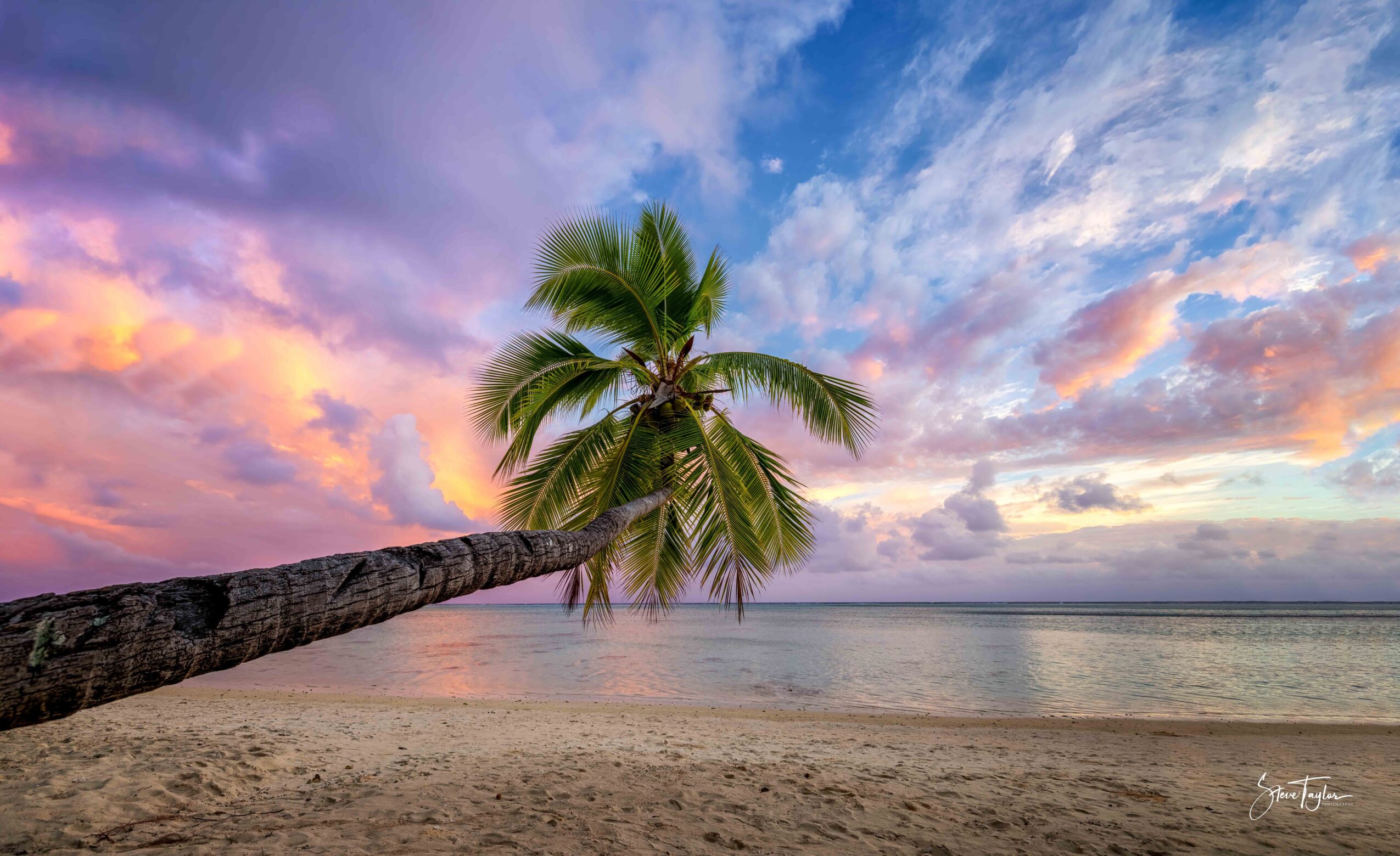 A palm tree leaning over a sandy beach with a colorful sky and calm ocean in the background.