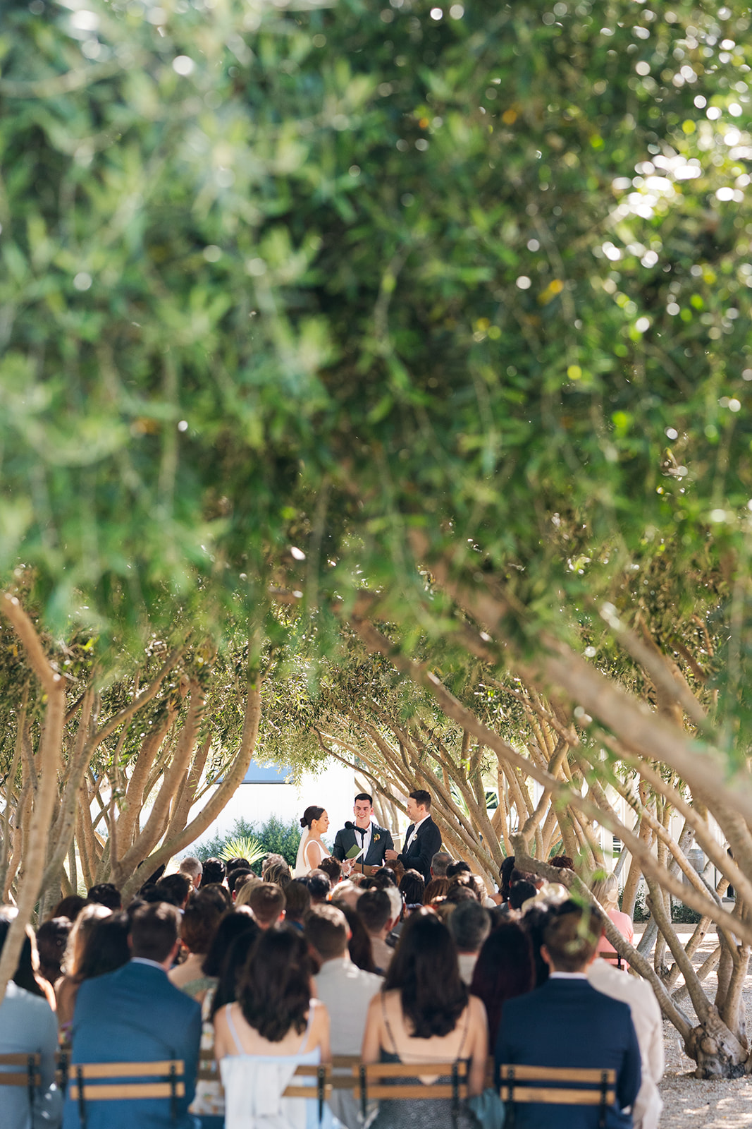 A wedding ceremony outdoors under trees with guests seated, couple standing, and officiant present.