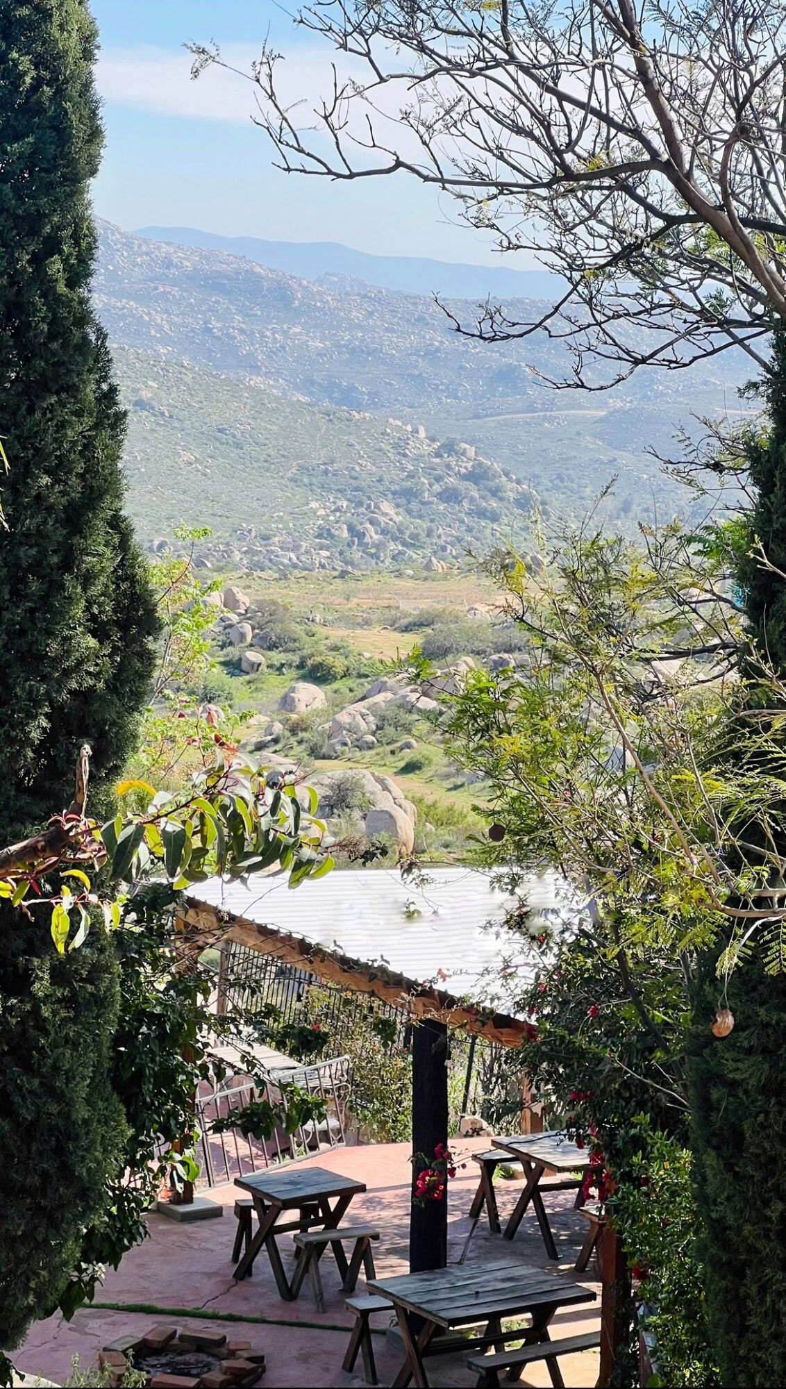 Outdoor patio with tables and benches, surrounded by trees, overlooking a valley with hills and scattered buildings.