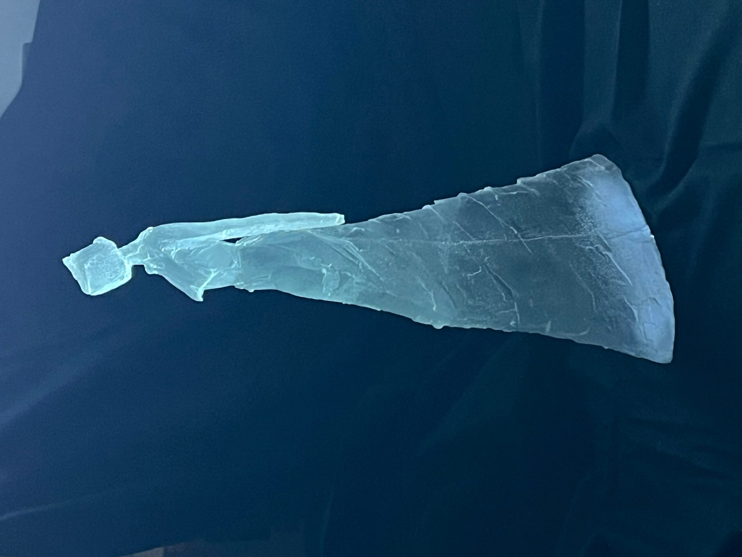 A translucent, elongated object with a tapered end, lying on a dark surface.