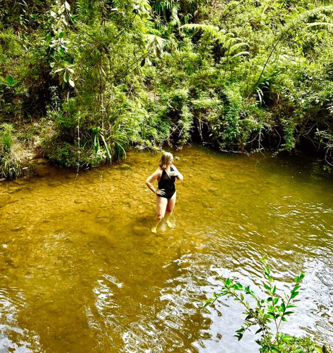 Person standing in shallow river surrounded by lush green trees and foliage, sunlight filtering through leaves.