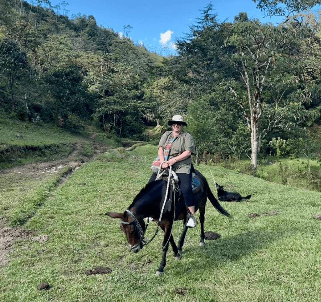 Person riding a horse on grassy terrain with trees and hills in the background, wearing a hat and casual clothing.