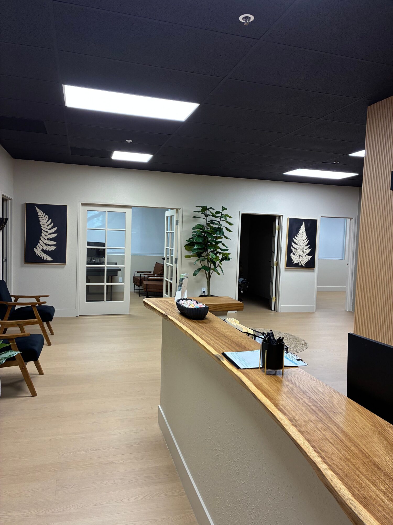Interior room with black ceiling, white walls, wooden floor, and furniture including a desk, chair, and plants.