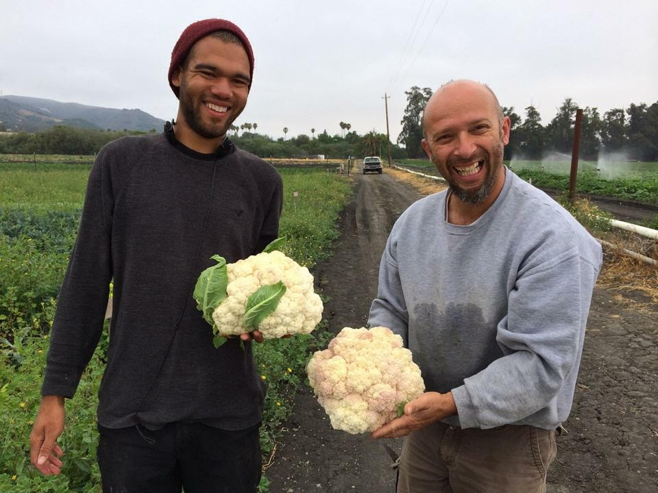 Two men standing outdoors on a dirt path, each holding a large cauliflower, smiling, with fields and trees in the background.