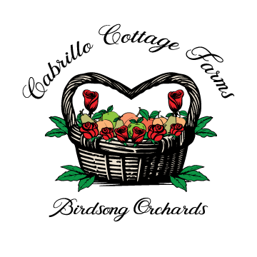 Basket filled with red roses and green leaves, with additional roses around it, on a black background.