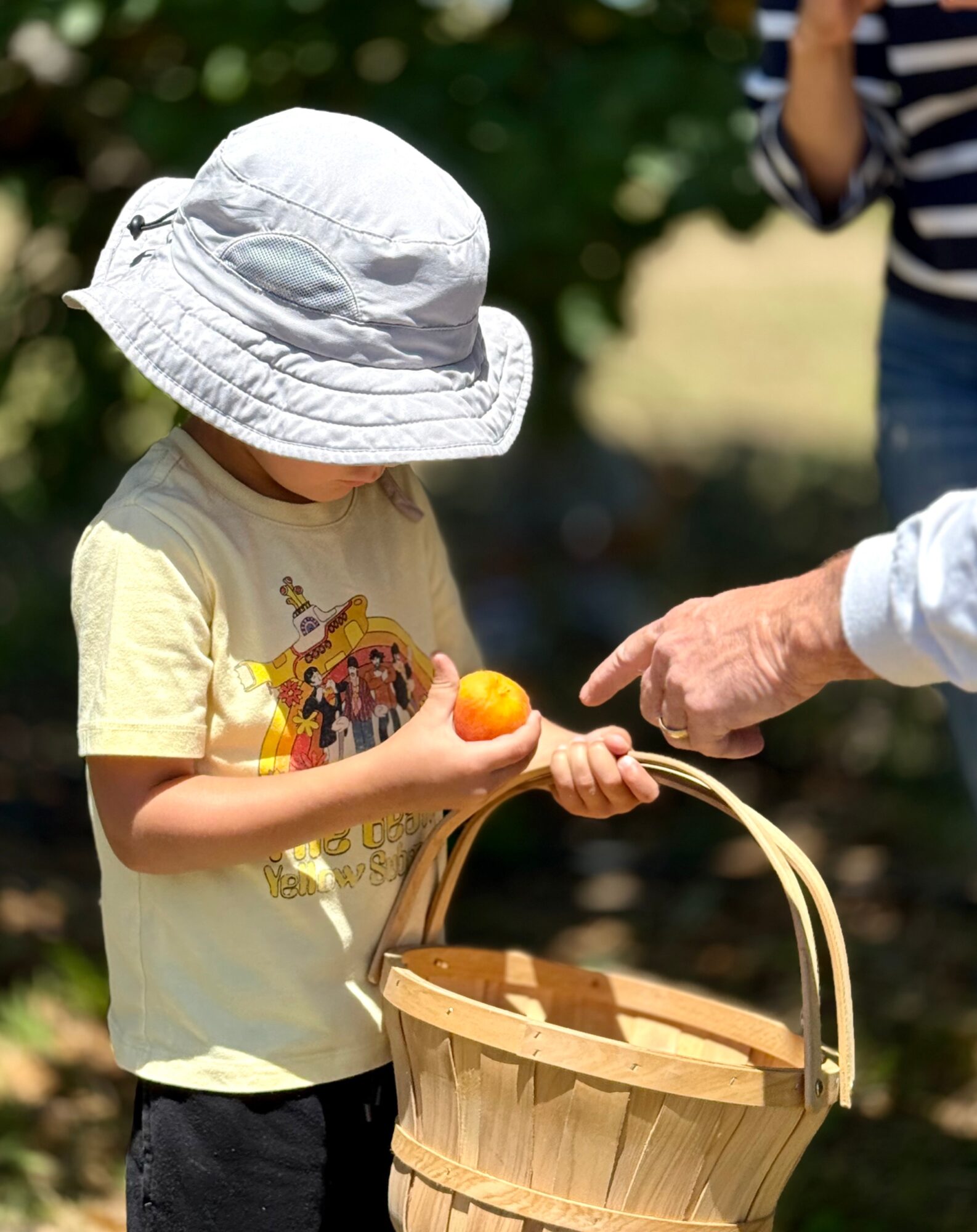 Child wearing a white hat holding a yellow fruit, with an adult pointing at it, outdoors on a sunny day.