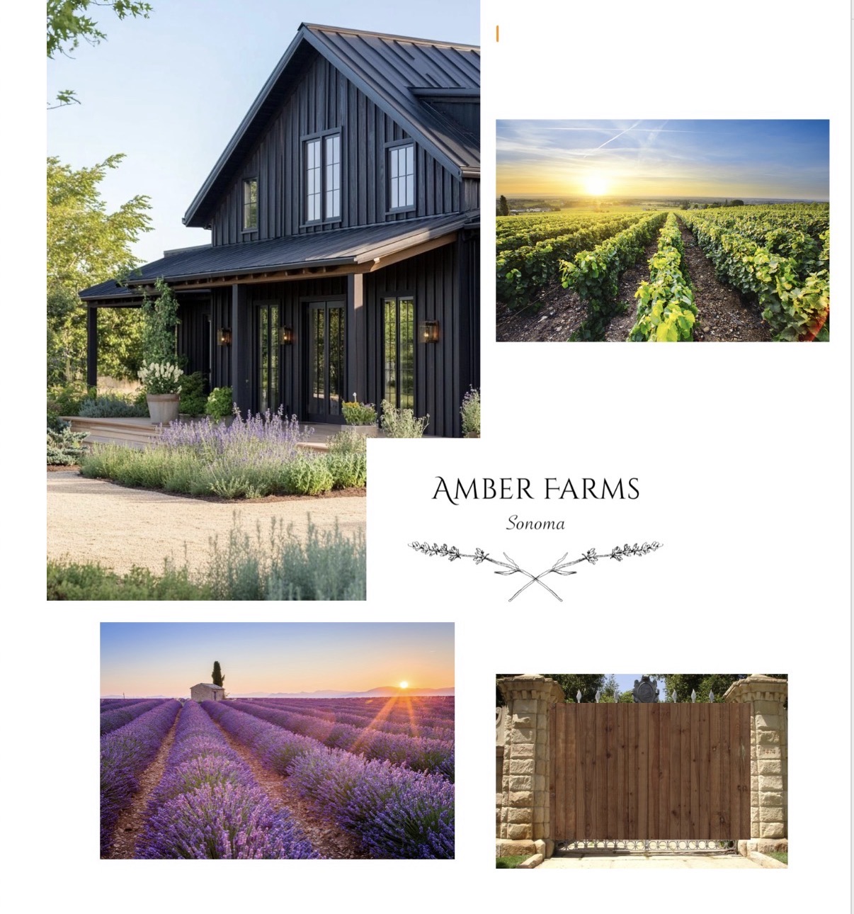 Black farmhouse with garden, vineyard, lavender field, and wooden gate, with text 'Amber Farms Sonoma'.