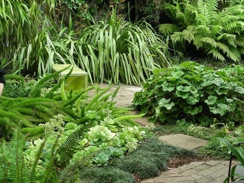 Lush garden with various green plants, shrubs, and a stone pathway, surrounded by tall grasses and ferns.