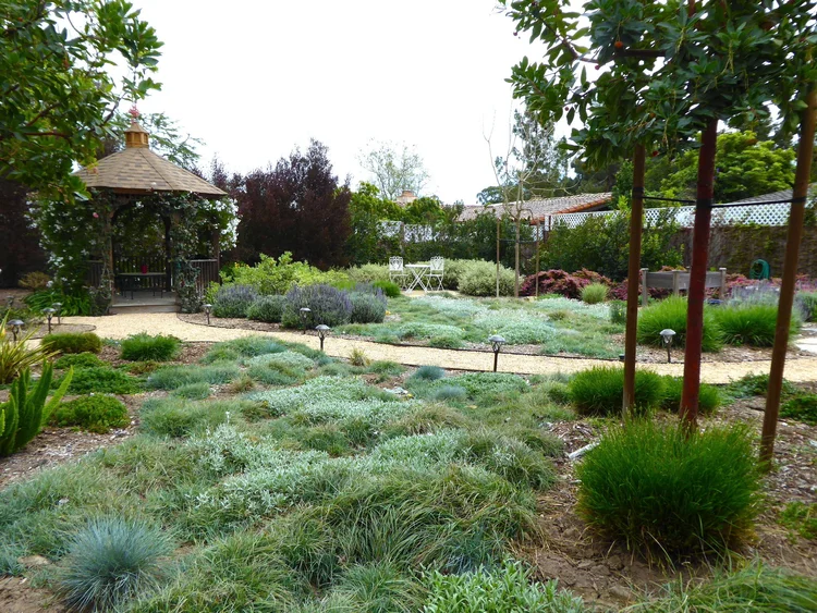 Lush garden with various plants, trees, and a small gazebo, featuring a winding pathway and vibrant greenery.